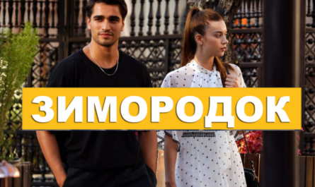 Зимородок турецкий сериал на русском языке смотреть бесплатно онлайн в хорошем качестве